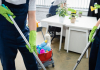 Higijeničarka - Agencija za čišćenje „MASTER CLEAN“ Bijeljina
