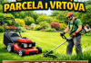 Usluga odrzavanja dvorista, parcela ili vrtova