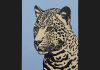 Umjetnicka slika - Akril | Jaguar | 40x60 cm