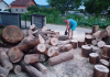 Vrsim usluzno rezanje drva