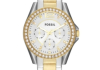 Fossil sat