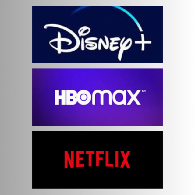 Prodaja premium naloga (Netflix, HBO max, Disney+, Canva, Spotify itd..)