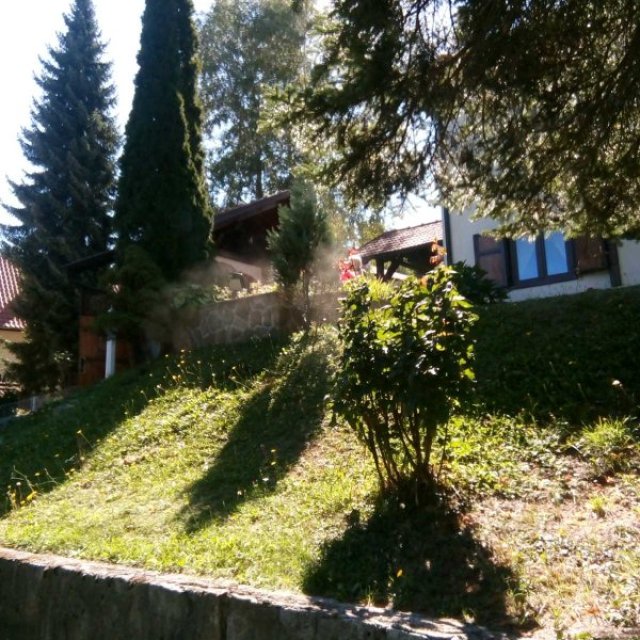 images