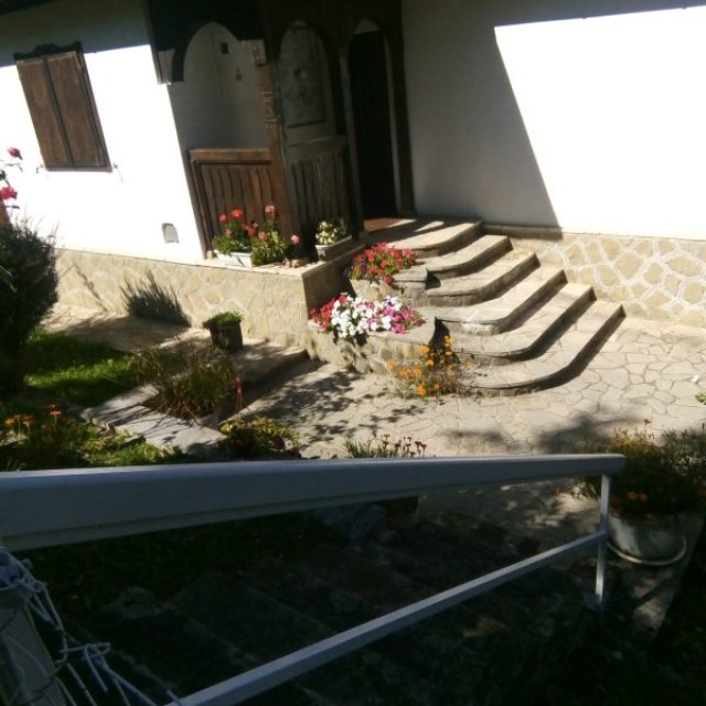images