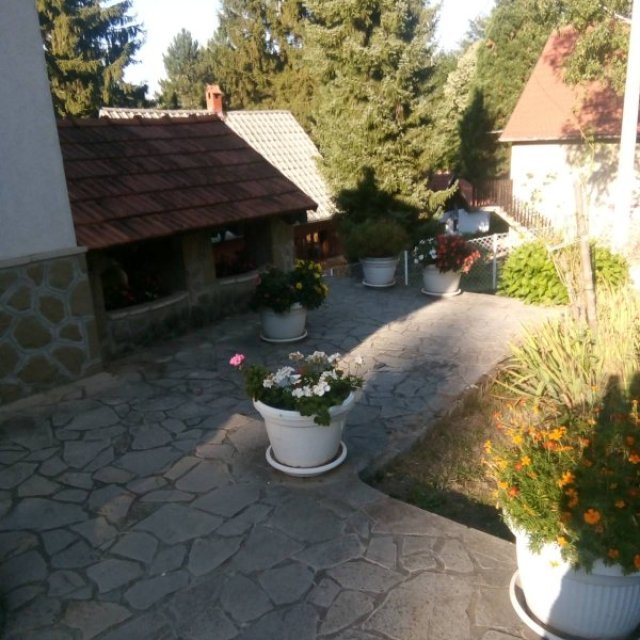 images
