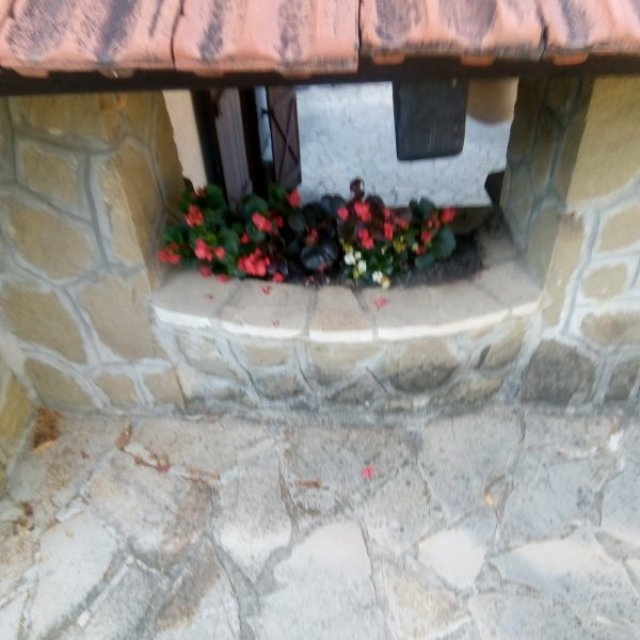 images