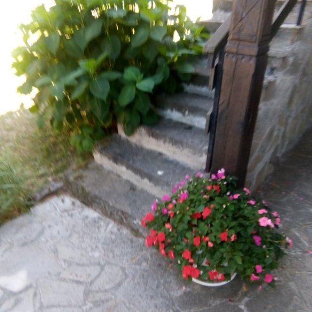 images