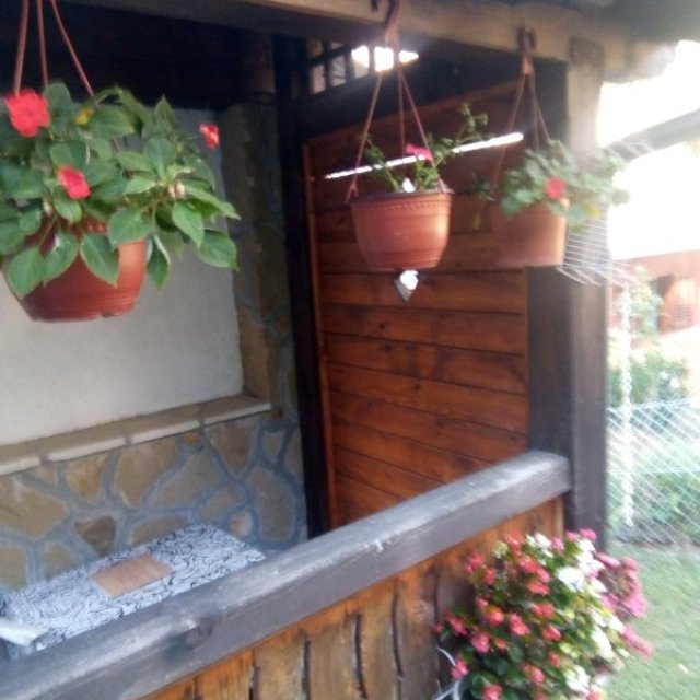 images