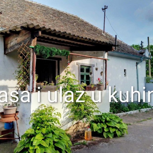 images