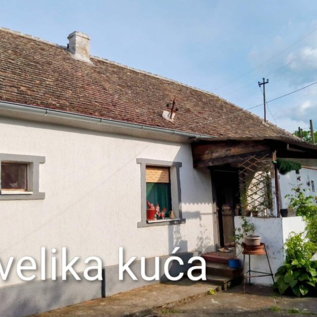 images