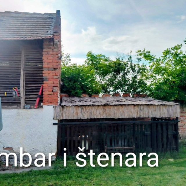 images