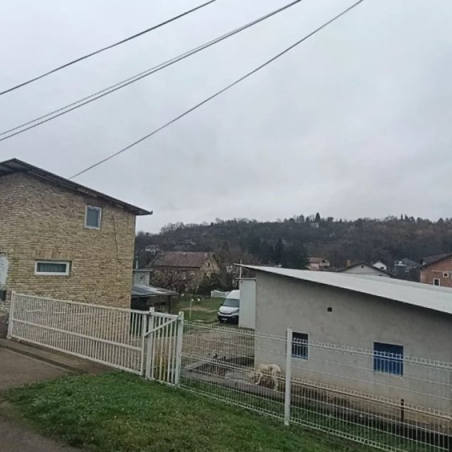 images