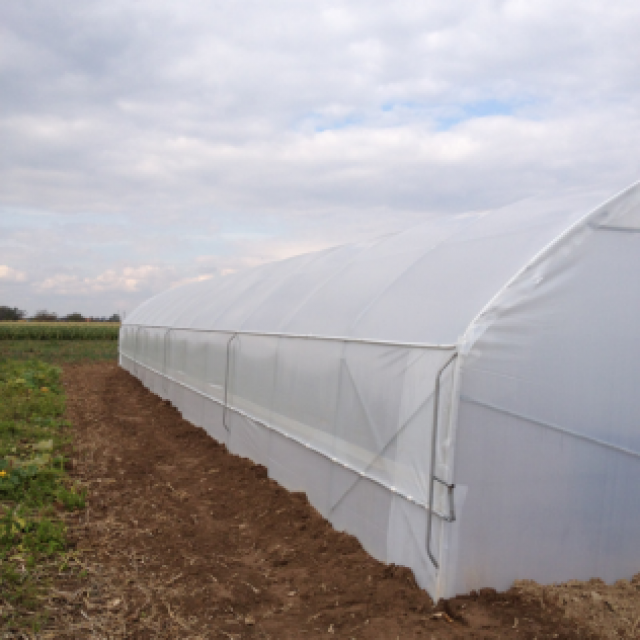 Plastenik 150m2