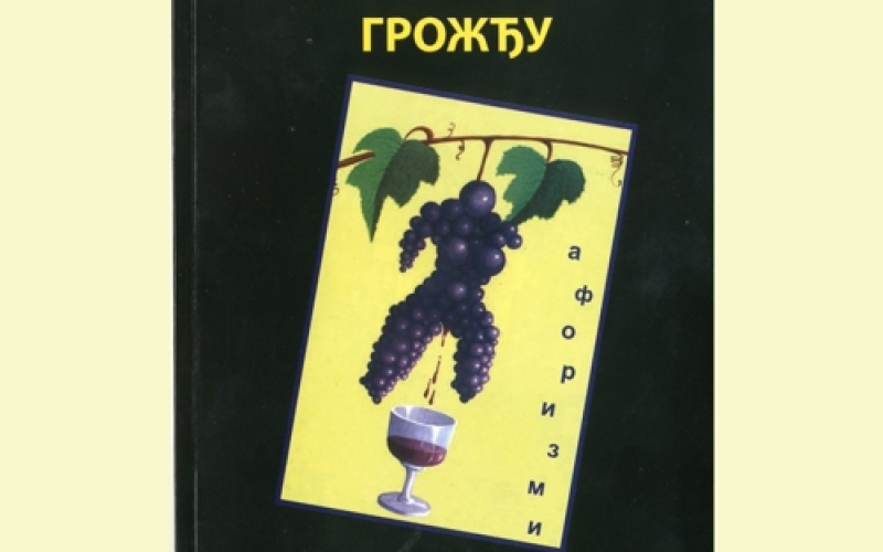 U neobranom grožđu