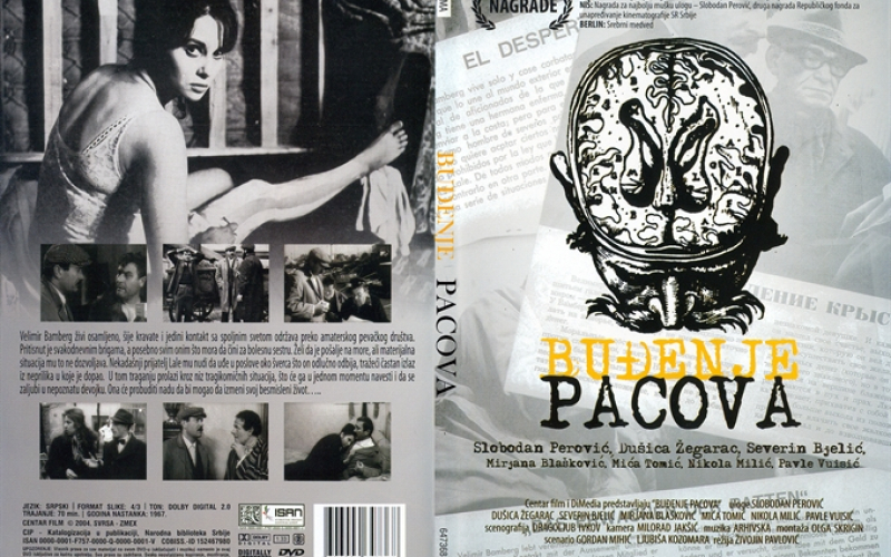 Buđenje pacova