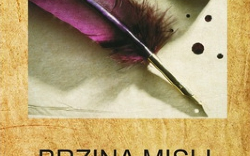 Brzina misli