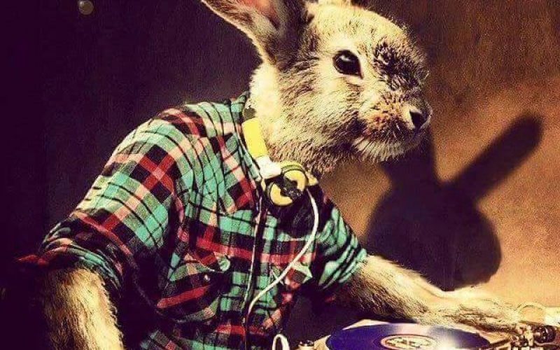 DJ Zeka
