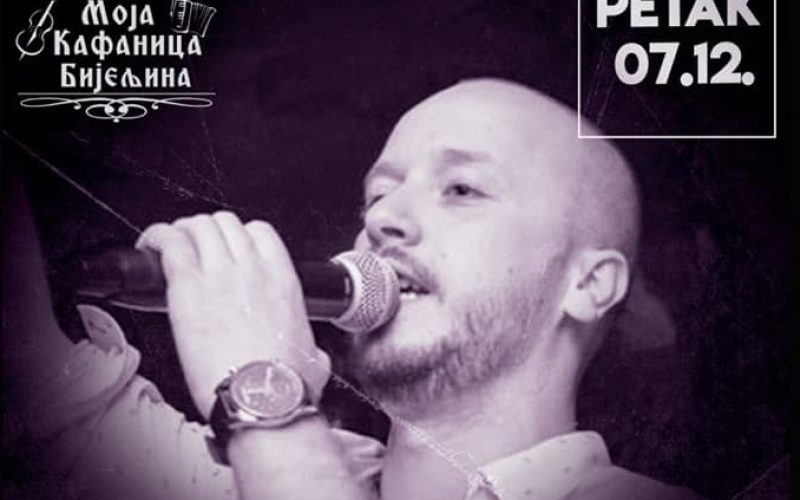 Mirko Plavšić