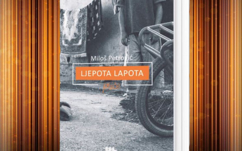 Ljepota lapota