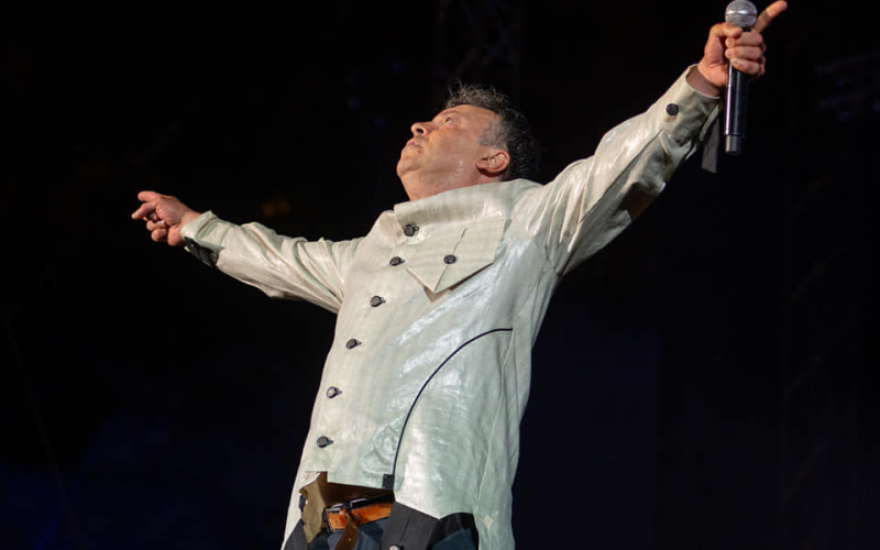 Koncert Neleta Karajlića