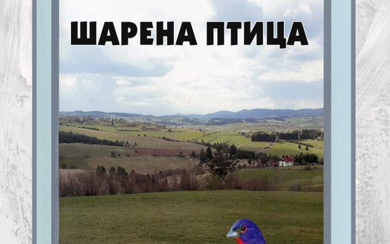 Šarena ptica