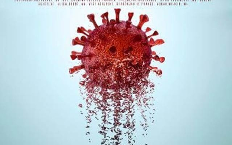 Virus