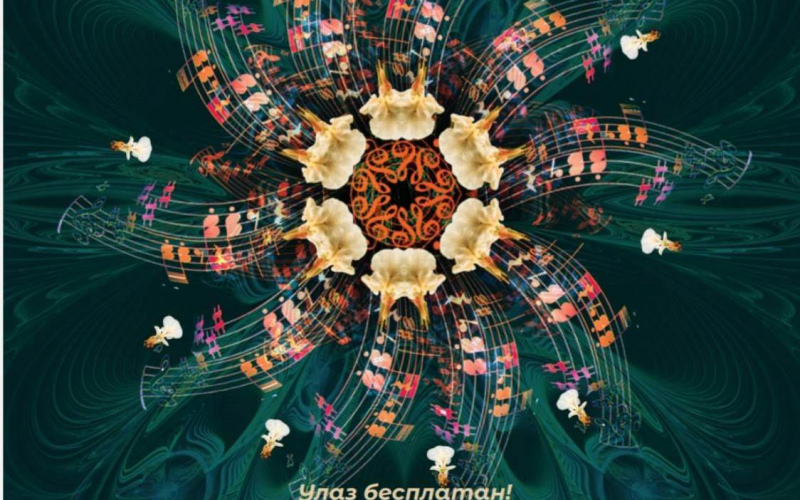 Muzički Kaleidoskop