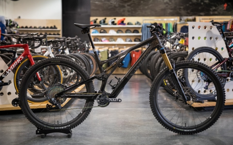 2021 Trek Remedy 9.8