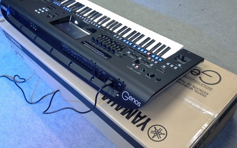 Yamaha Genos 76-Key ,Korg Pa4X 76 Key. Yamaha PSR-SX900, Korg PA-1000