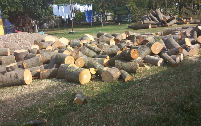 Rezanje drva