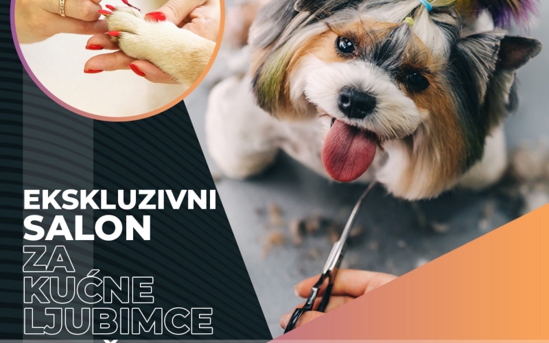 Ekskluzivni salon za kućne ljubimce traži GRUMERA!