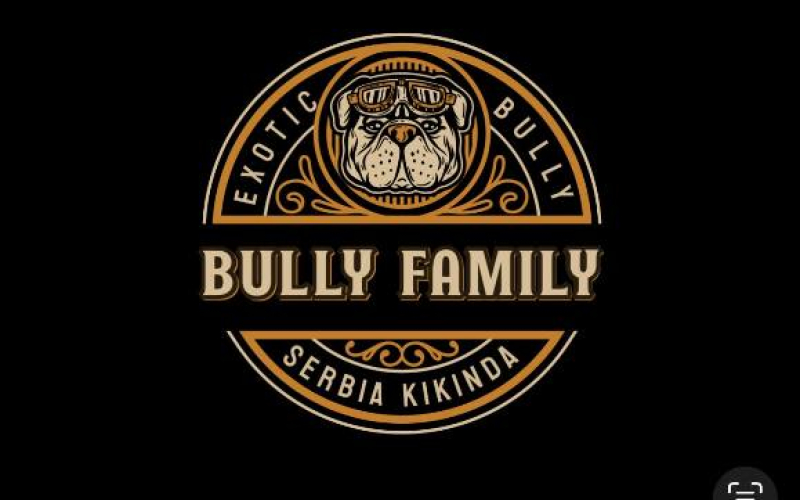 American bully exotic štenci