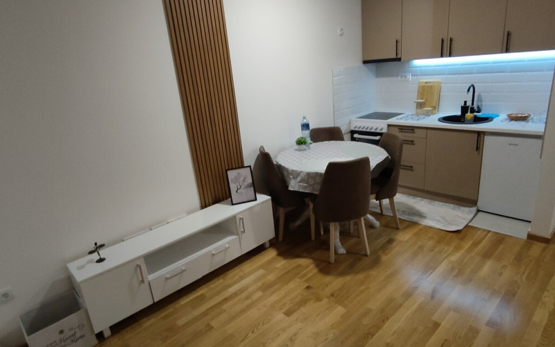Jednoiposoban stan u Novom Sadu
