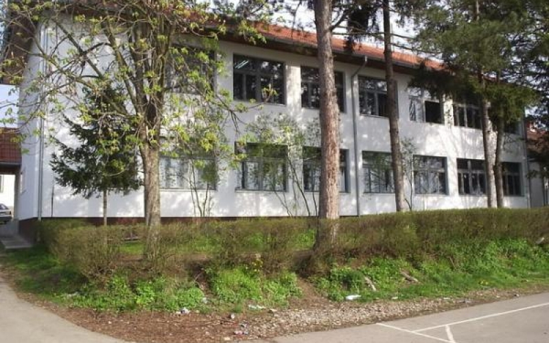 Nastavnik engleskog i voditelj boravka - OŠ „Stevan Nemanja“, Dragaljevac Gornji