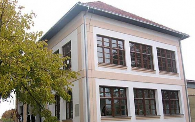 Psiholog, bibliotekar i tri nastavnika - OŠ "Filip Višnjić" Donja Trnova