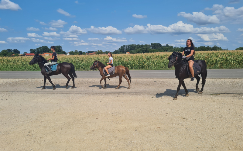 SKOLA JAHANJA ZA DJECU I ODRASLE