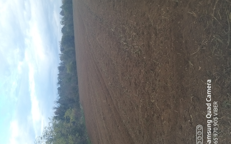 NJIVA ZEMLJISTE 7000M2 SELO MEDJASI