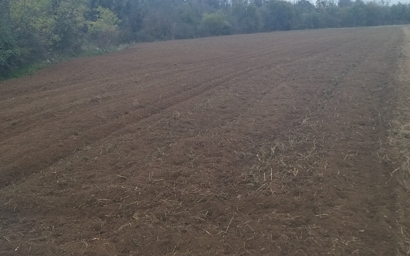 NJIVA ZEMLJISTE 7000M2 SELO Medjasi