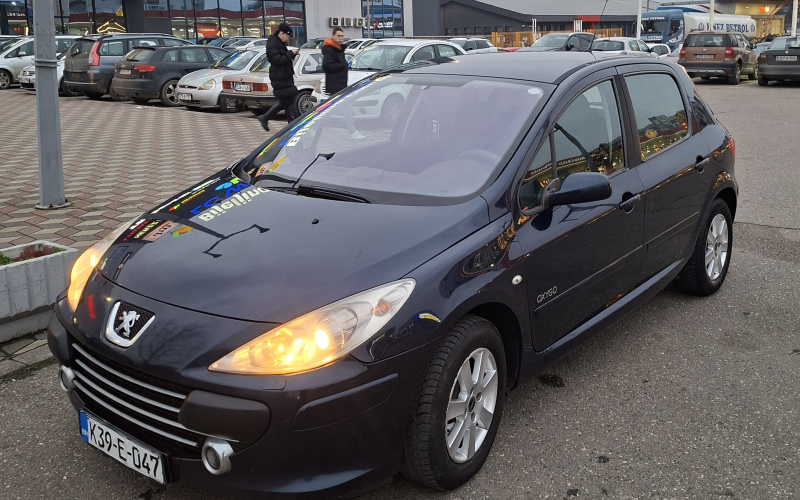 Peugeot 307 1.6 HDI 66 KW 2007. (registrovan)