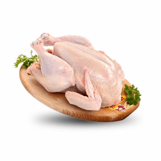 Pilići uređeni