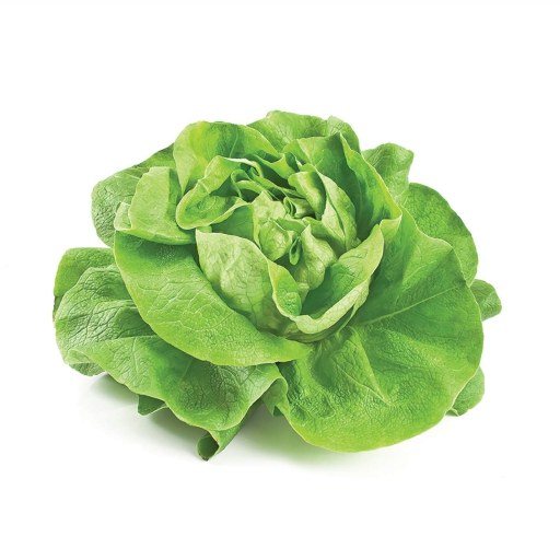 Zelena salata