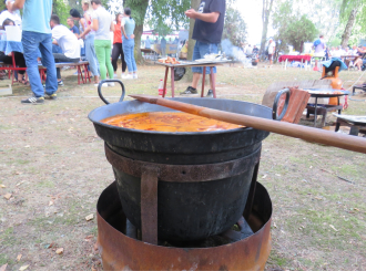 Zlatni kotlić Semberije