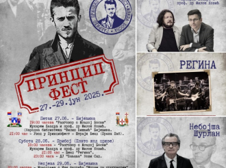 Princip fest