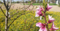 Maksimalna temperatura 11 stepeni: Sutra nas očekuje pretežno sunčano vrijeme