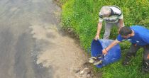 Šaranom poribljeni kanal Dašnica i bare u Velinom Selu