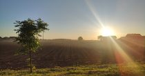 Bijeljina: Sunčano i prohladno vrijeme