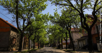 Bijeljina: Sunčano i toplije