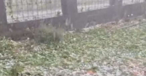 "MJEŠTANI PRIJAVLJUJU ŠTETE" Snažno nevrijeme stiglo u BiH, u ovim gradovima led oštetio kuće i vozila