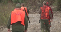 Lovci danonoćno dežuraju u lovištima uz Drinu i Savu radi suzbijanja afričke kuge svinja