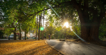 Bijeljina: Jutro hladno, tokom dana sunčano 
